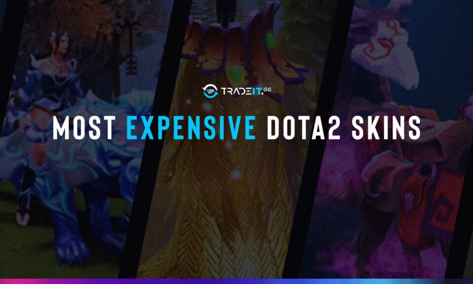 Most Expensive Dota 2 Skins – Costly Items