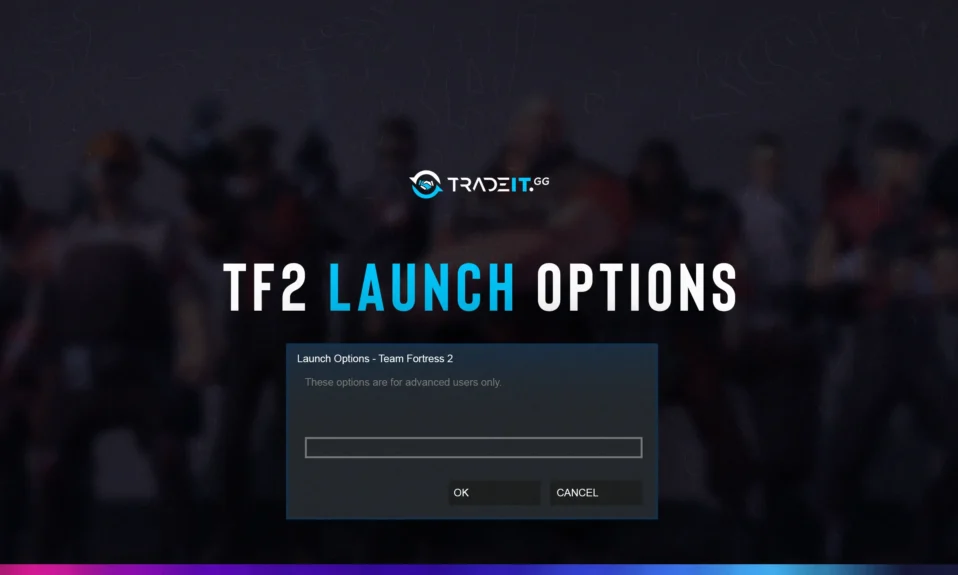 Best TF2 Launch Options