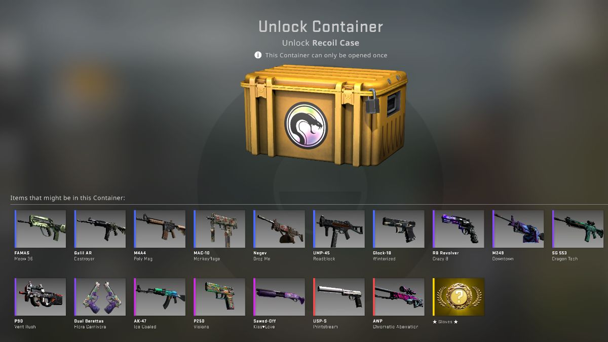 New CS2 Case