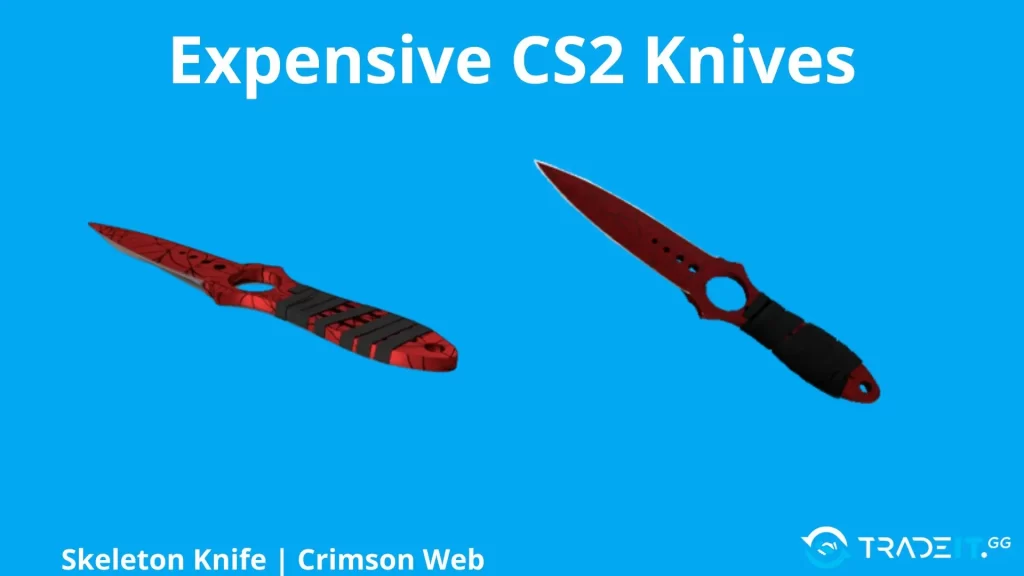 Skeleton Knife | Crimson Web