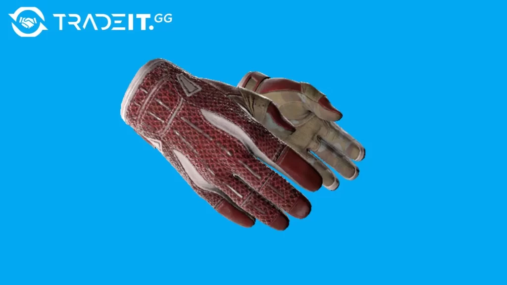 most expensive cs2 gloves