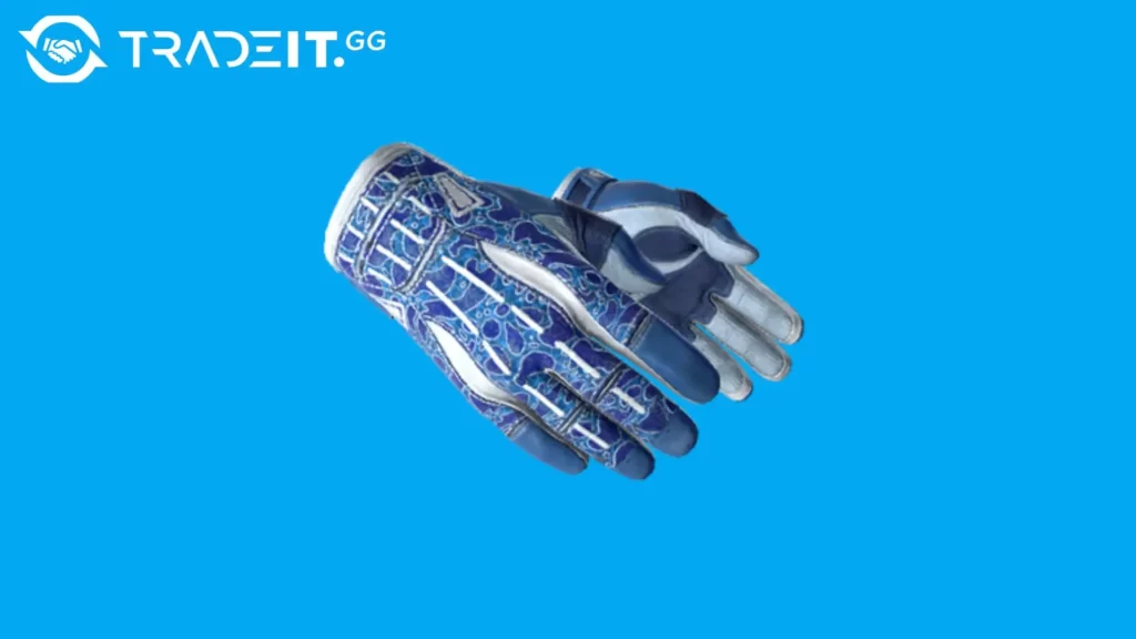 most expensive cs2 gloves