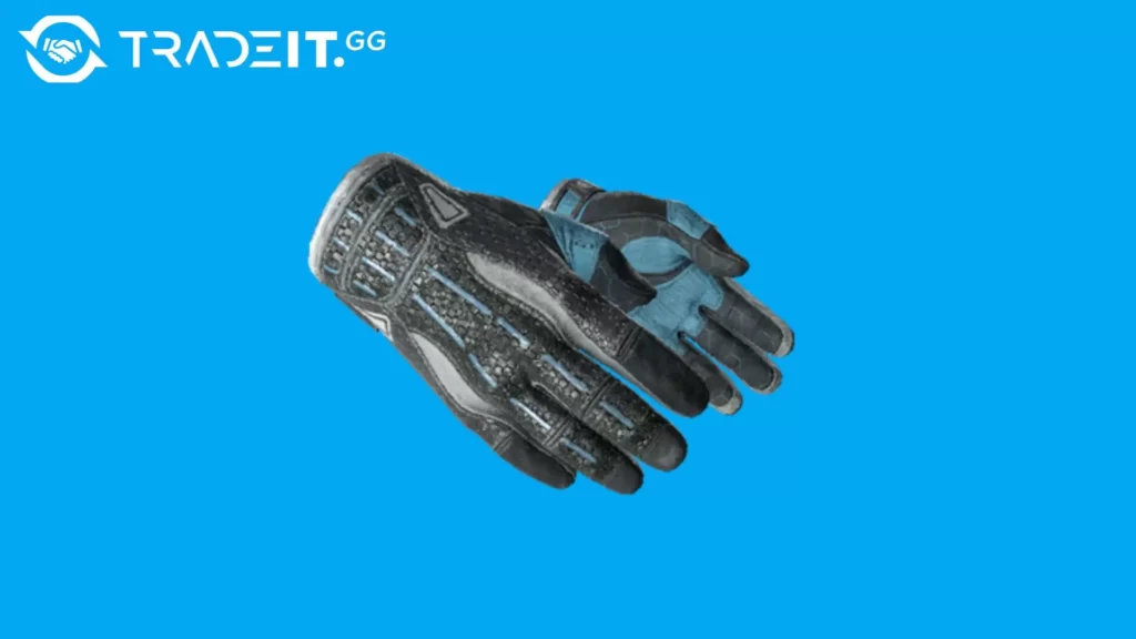 most expensive cs2 gloves