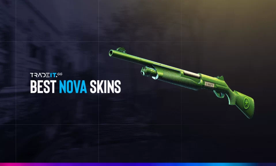 Best Nova Skins in CS2 – TOP 10