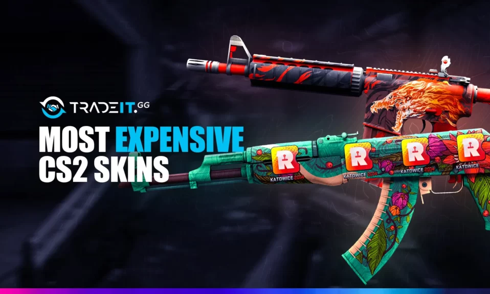 View the most expensive CS2 skin worth more than 1 million USD.