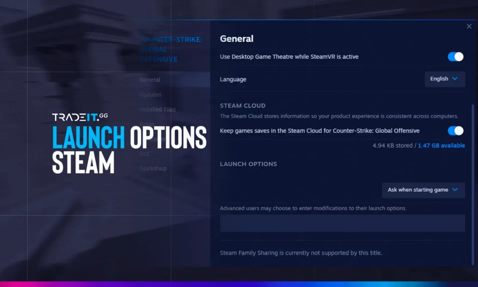 Best CS2 Launch Options for Steam