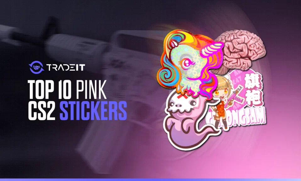 TOP 10 Pink CS2 Stickers