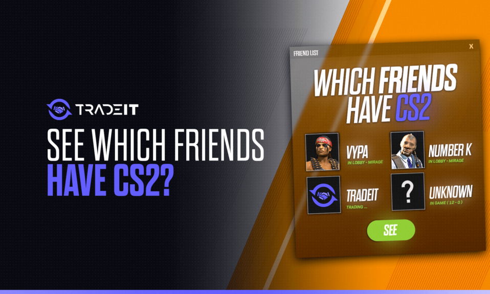 How To See Which Friends Have CS2?